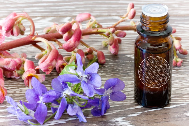 Reflexologie Plantaire